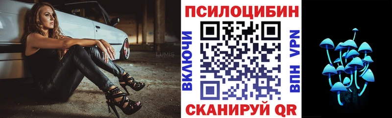 блэк спрут ССЫЛКА  Армавир  Псилоцибиновые грибы GOLDEN TEACHER 