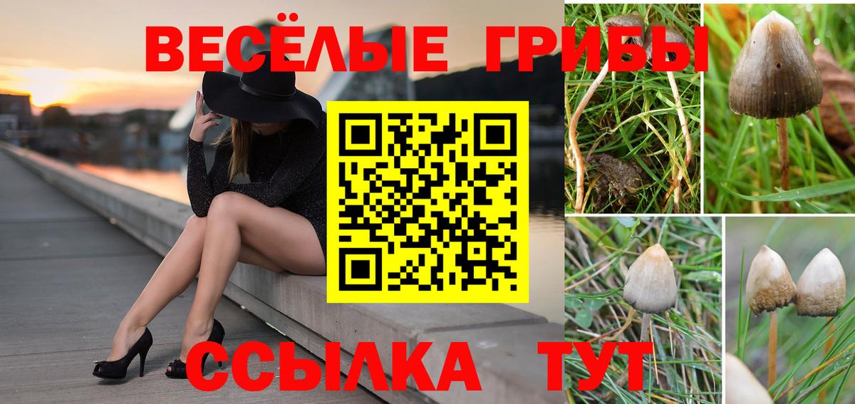 Армавир  Галлюциногенные грибы ЛСД  Вход с VPN  Псилоцибиновые грибы Psilocybine cubensis 